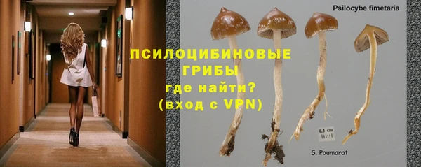 наркотики Алексин