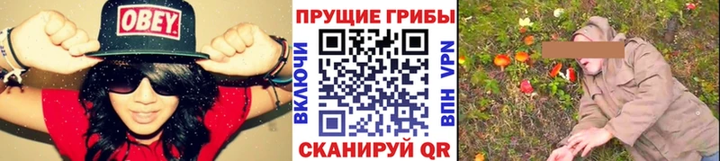 Псилоцибиновые грибы GOLDEN TEACHER даркнет телеграм Чусовой